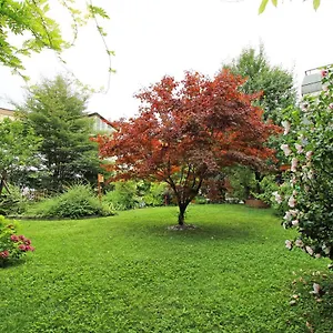 Apartamento Nigler, Innsbruck